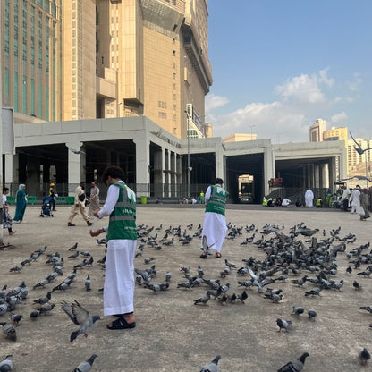Feed the Cats & Birds of the Haram