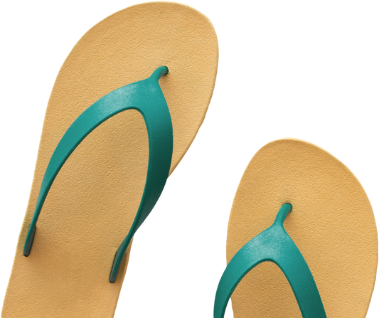 Gift Shoes to Pilgrims