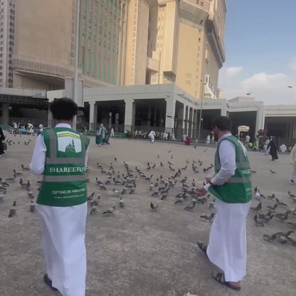 Feed the Cats & Birds of the Haram